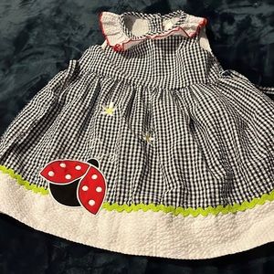 Rare Editions 2T Seersucker dress